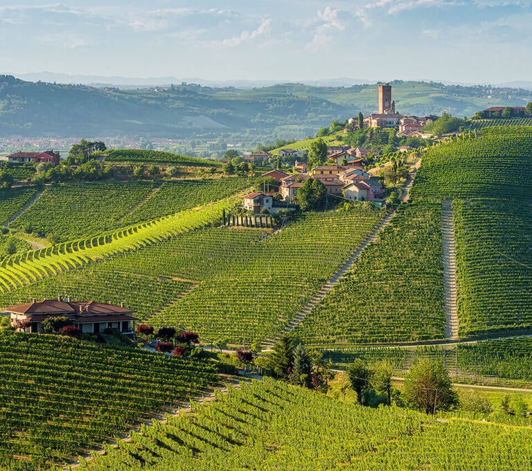 Langhe Piemontesi in estate