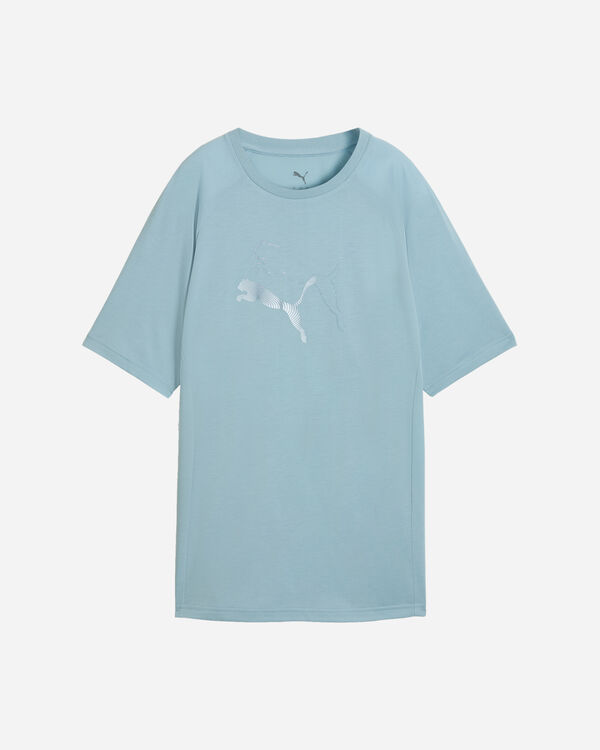 Evostripe logo cat w