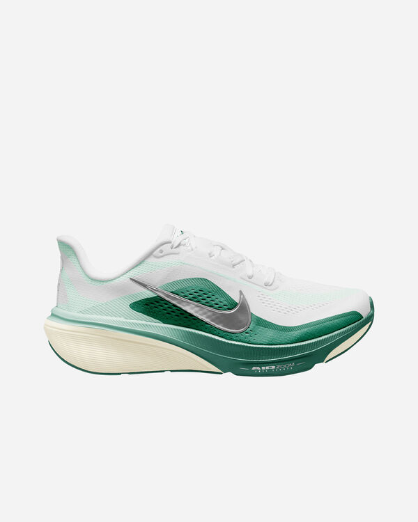 Pegasus 42 w