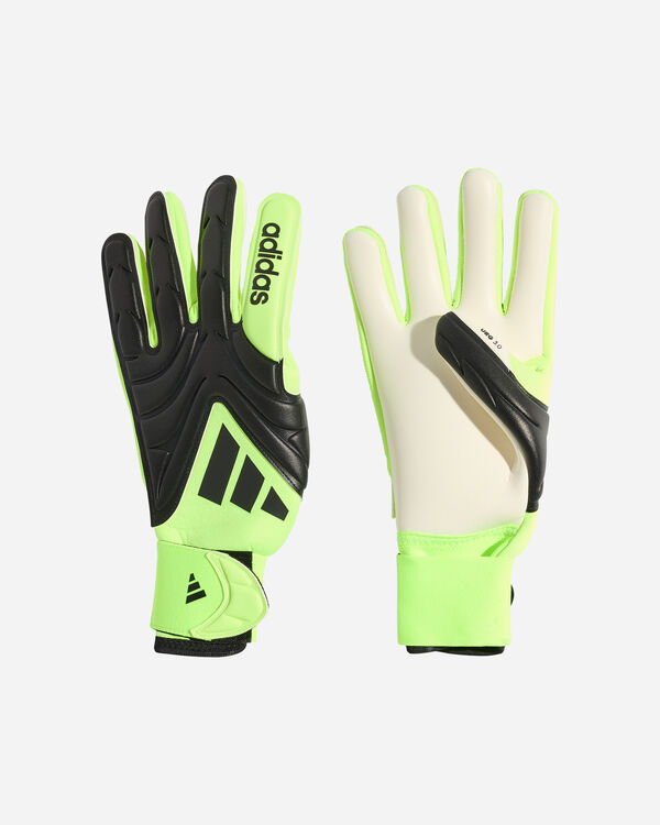 Copa gl lge m