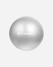 Gymball 65 - Color mix