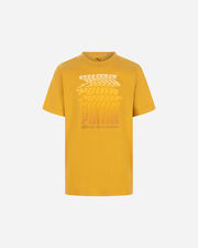 Regular jr - Giallo