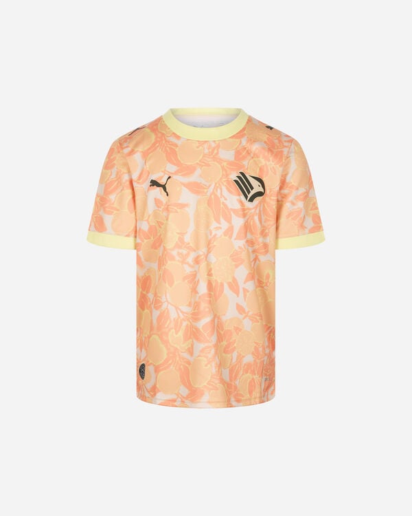 Palermo away jr