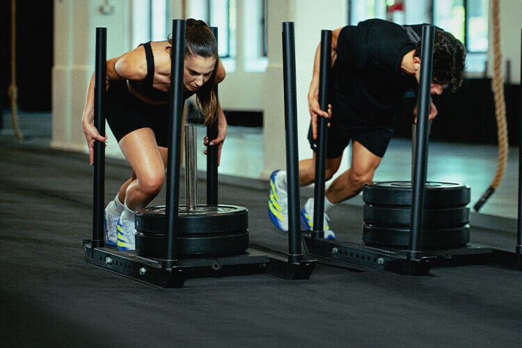 Collezione training adidas