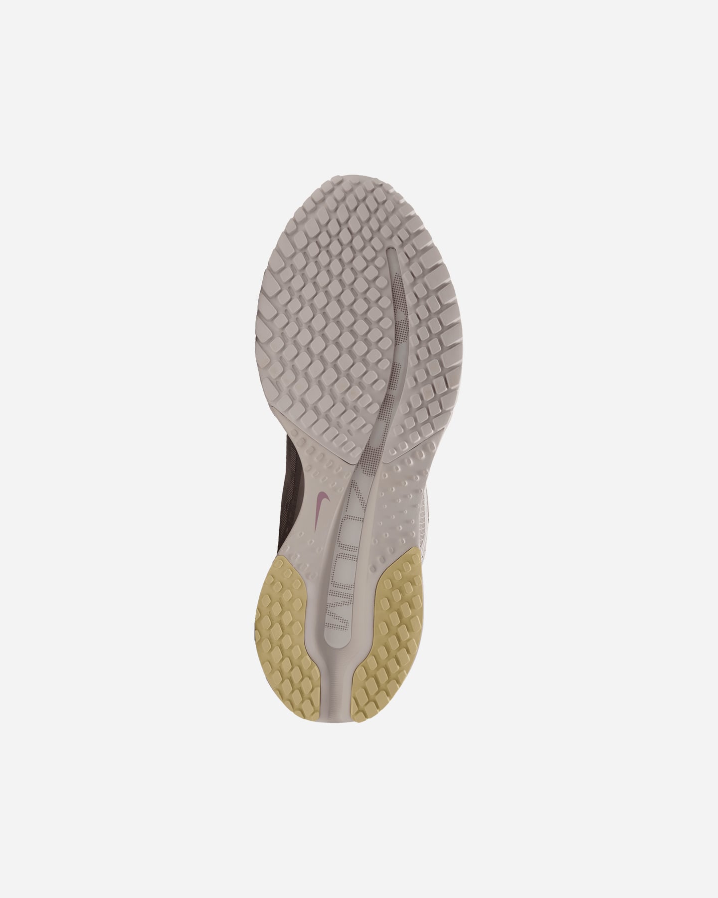 Scarpe running NIKE PEGASUS PREMIUM W - 2 | Cisalfa Sport