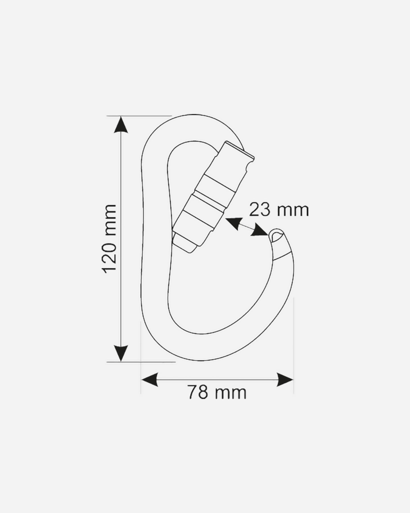 Moschettone CAMP ATOM 2LOCK  - Argento - 1 | Cisalfa Sport