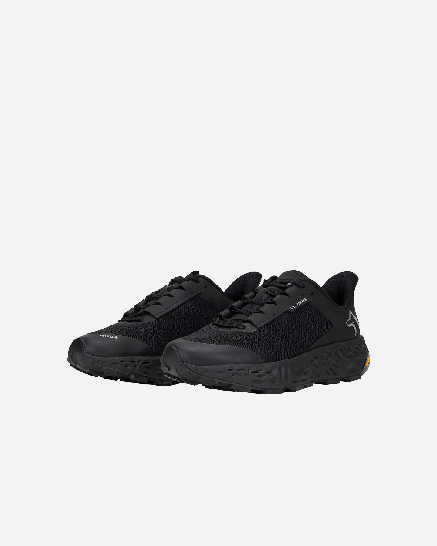Scarpe trail ULYSSES AHULI 2 M - Nero - 1 | Cisalfa Sport