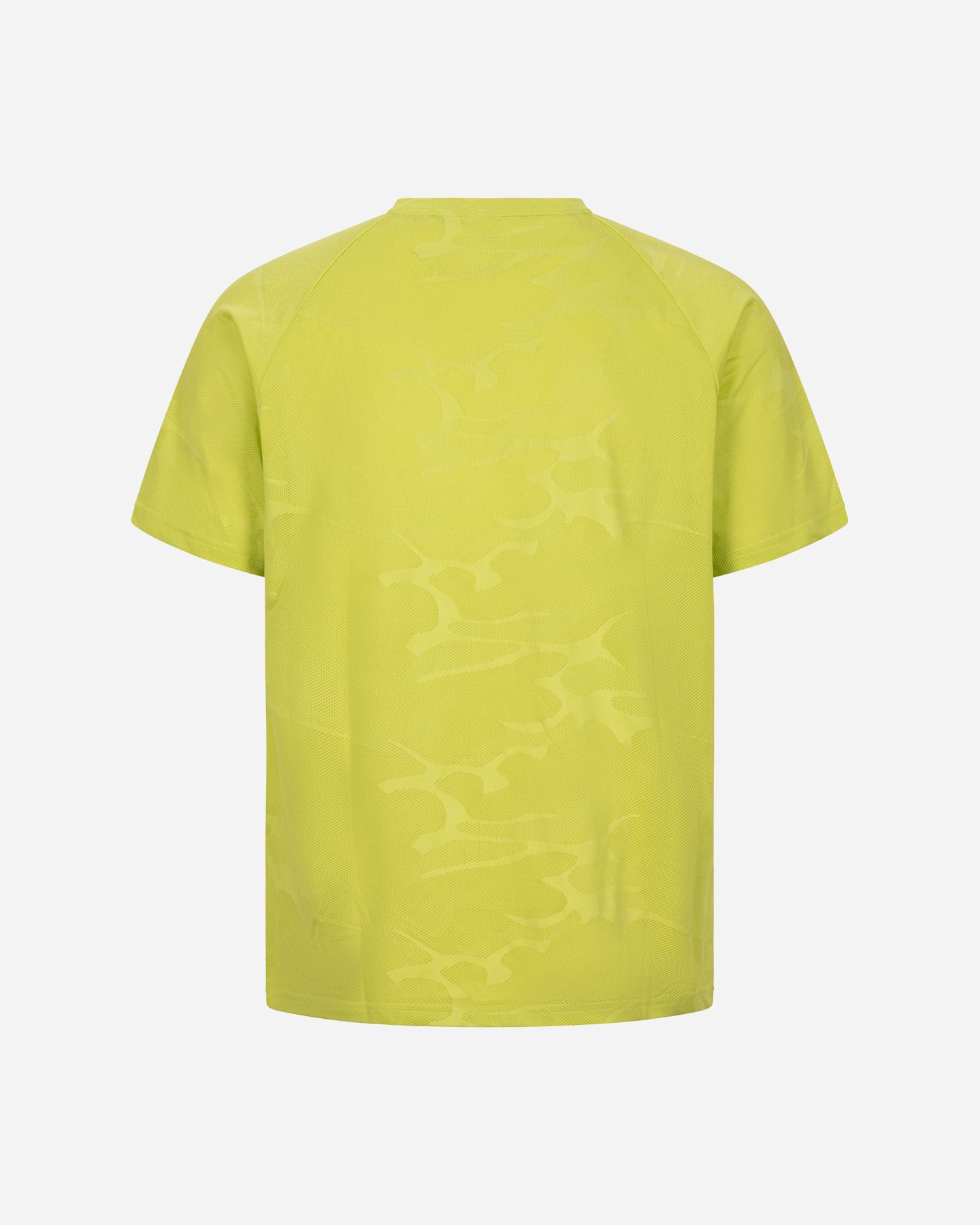 T-shirt training ARENA ADVANCE M - Verde - 1 | Cisalfa Sport