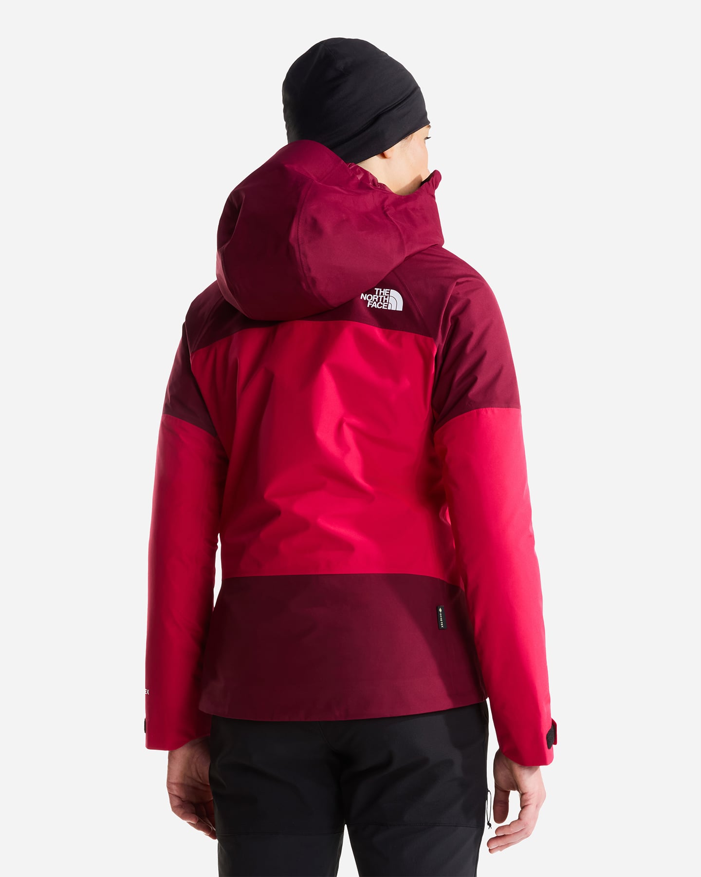 Giacca outdoor THE NORTH FACE JAZZI GTX W - Fucsia - 4 | Cisalfa Sport