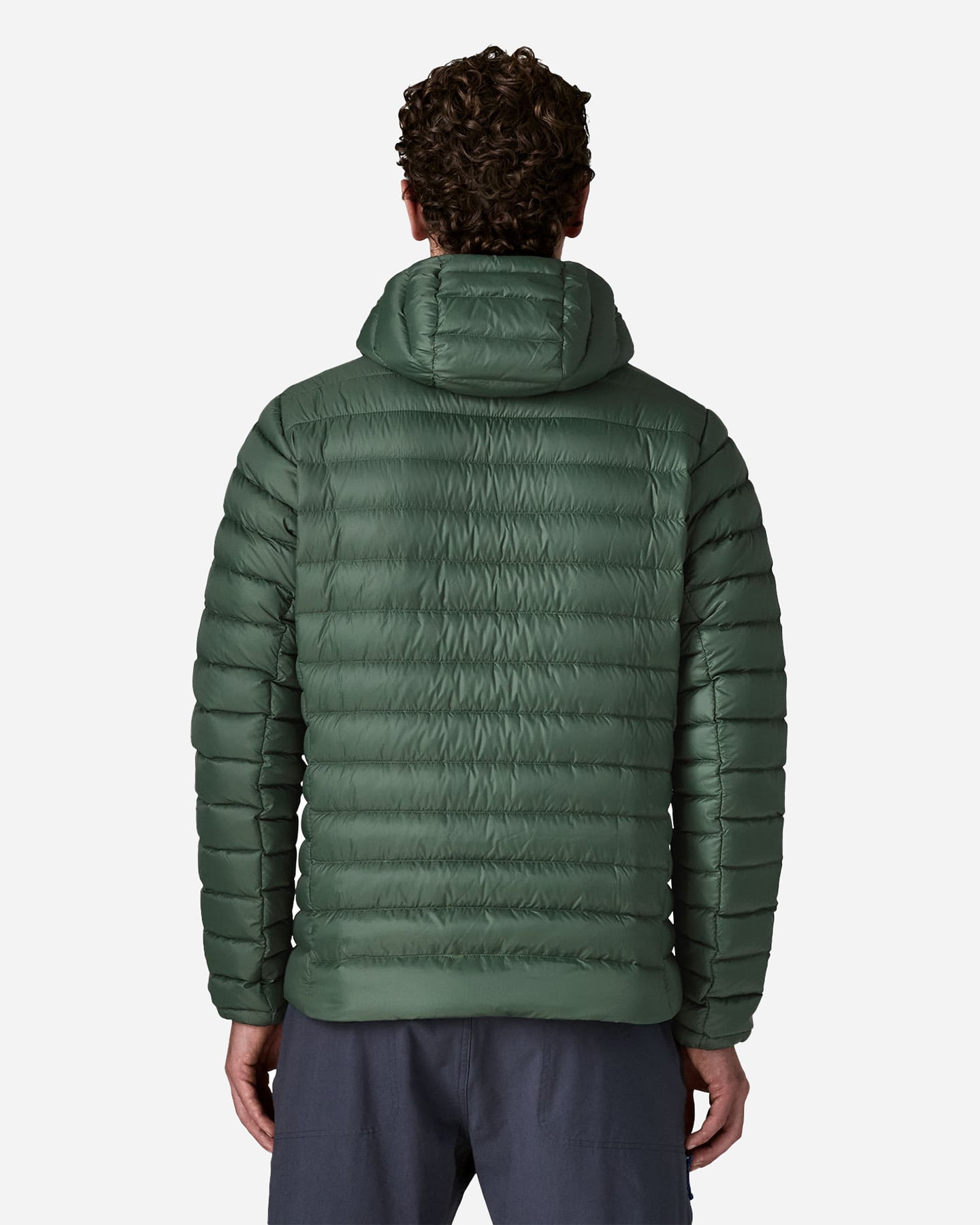 Piumino PATAGONIA DOWN SWEATER M - Verde - 2 | Cisalfa Sport