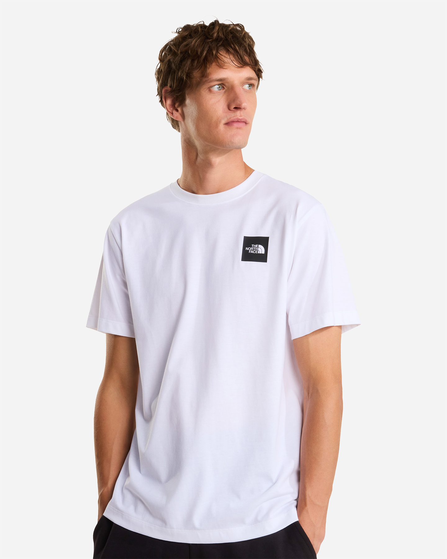 T-shirt THE NORTH FACE EVOLUTION BOX HALF DOME M - Bianco - 2 | Cisalfa Sport