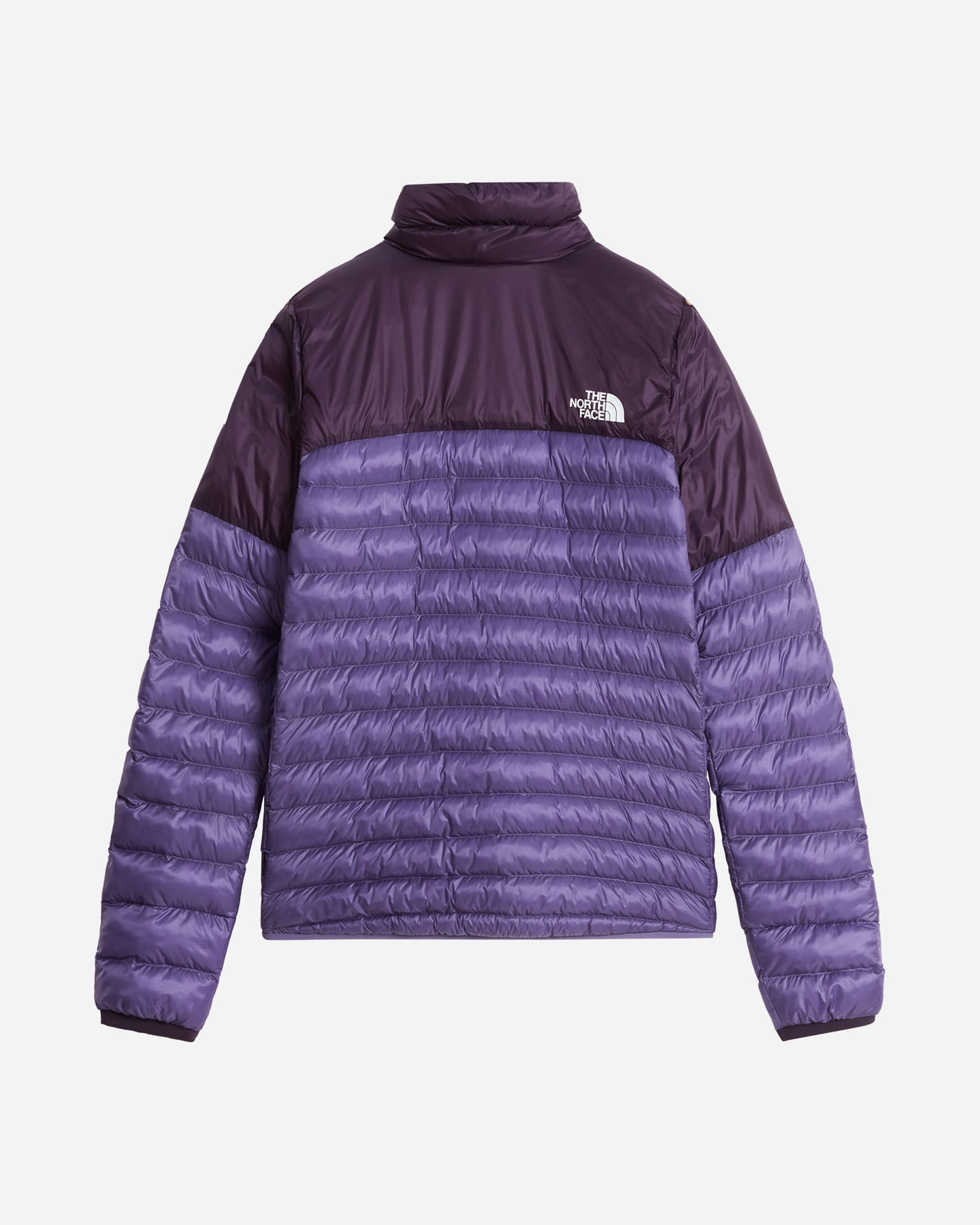Giacca outdoor THE NORTH FACE TERRA PEAK W - Viola - 1 | Cisalfa Sport