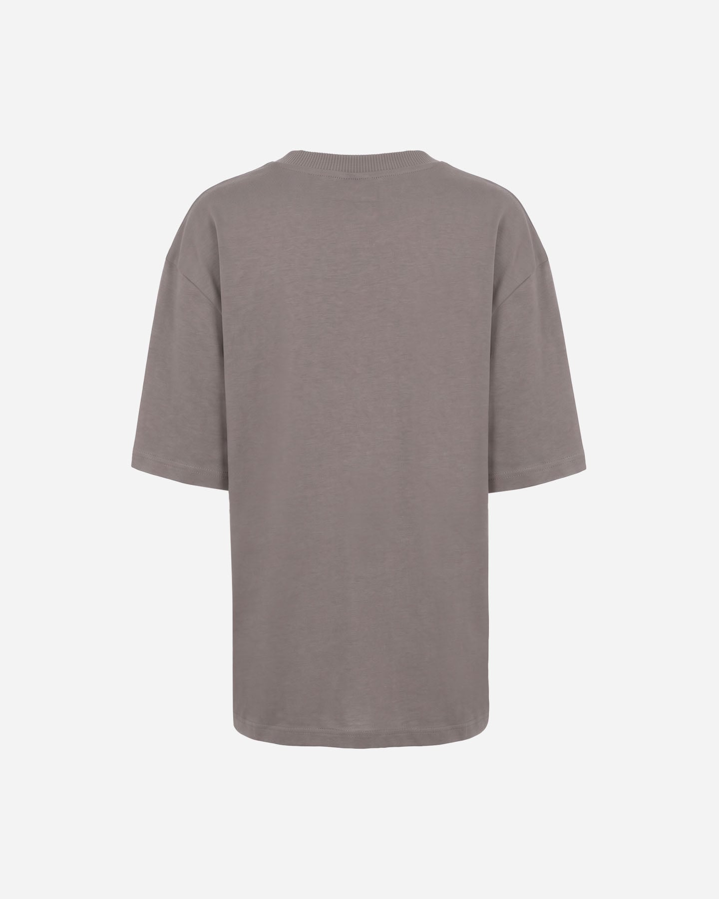 T-shirt DACK'S ESSENTIAL W - Marrone - 1 | Cisalfa Sport