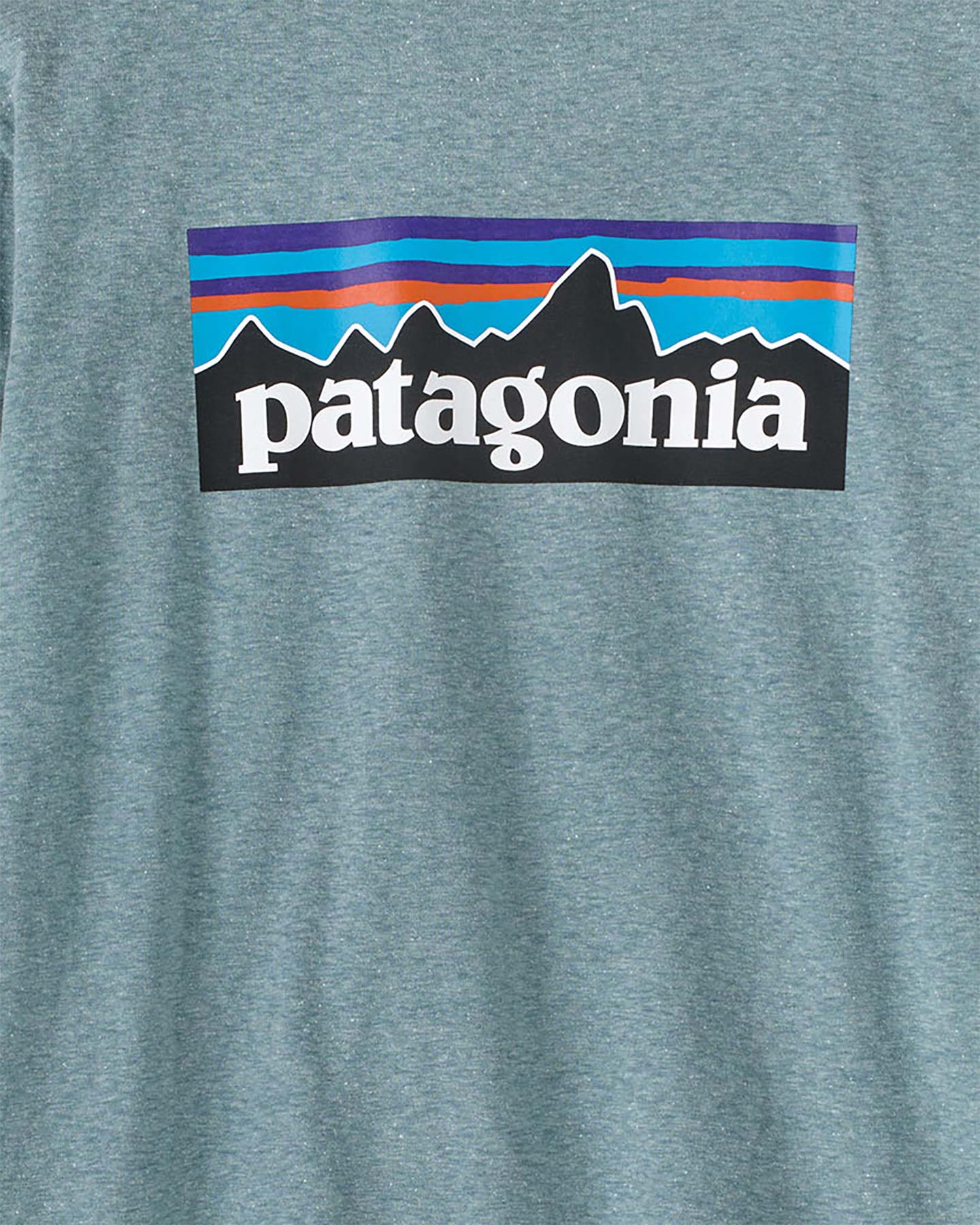 T-shirt PATAGONIA P-6 LOGO RESPONSIBILI-TEE W - Blu - 2 | Cisalfa Sport