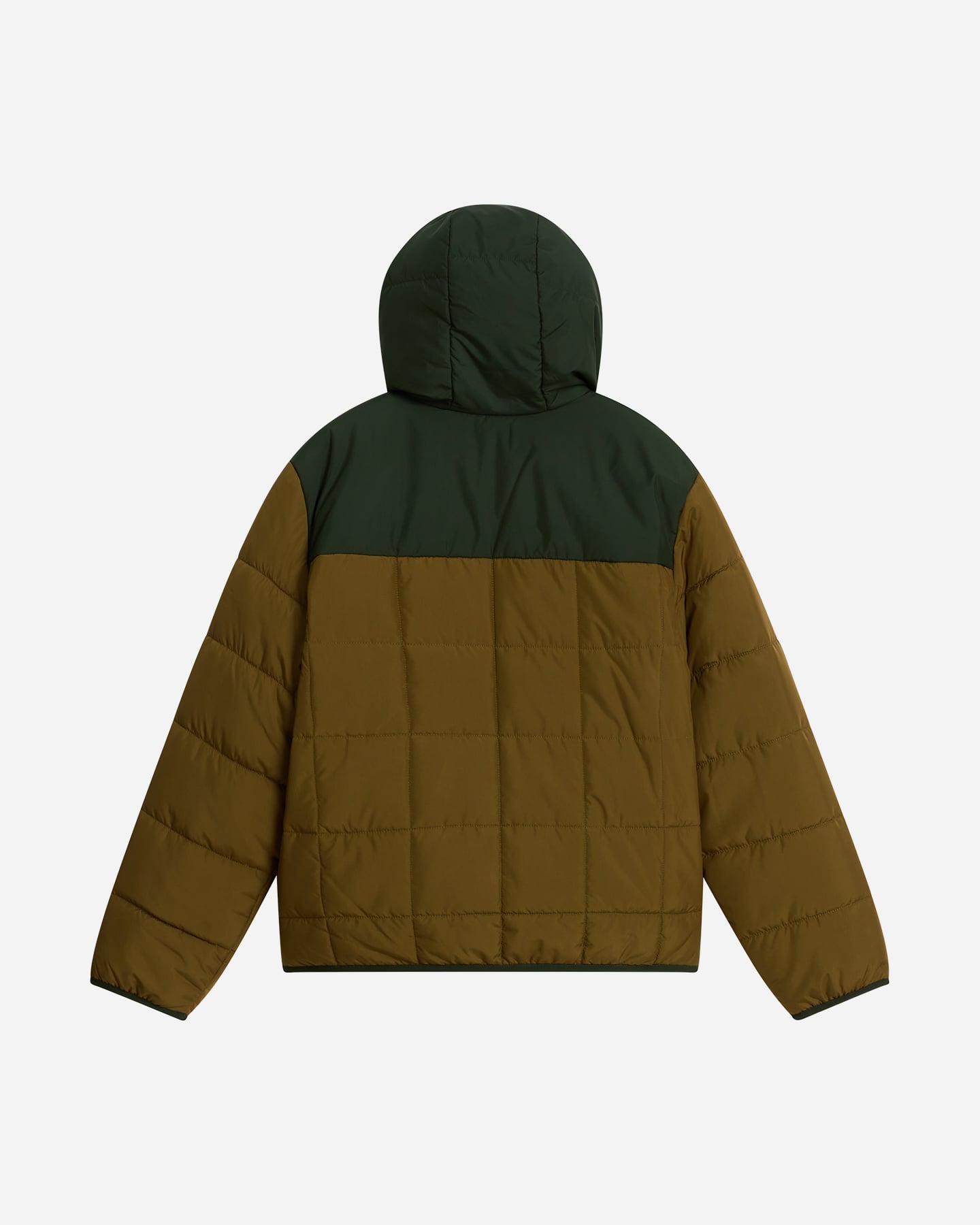 Giubbotto THE NORTH FACE SHASTA JR - Verde - 1 | Cisalfa Sport