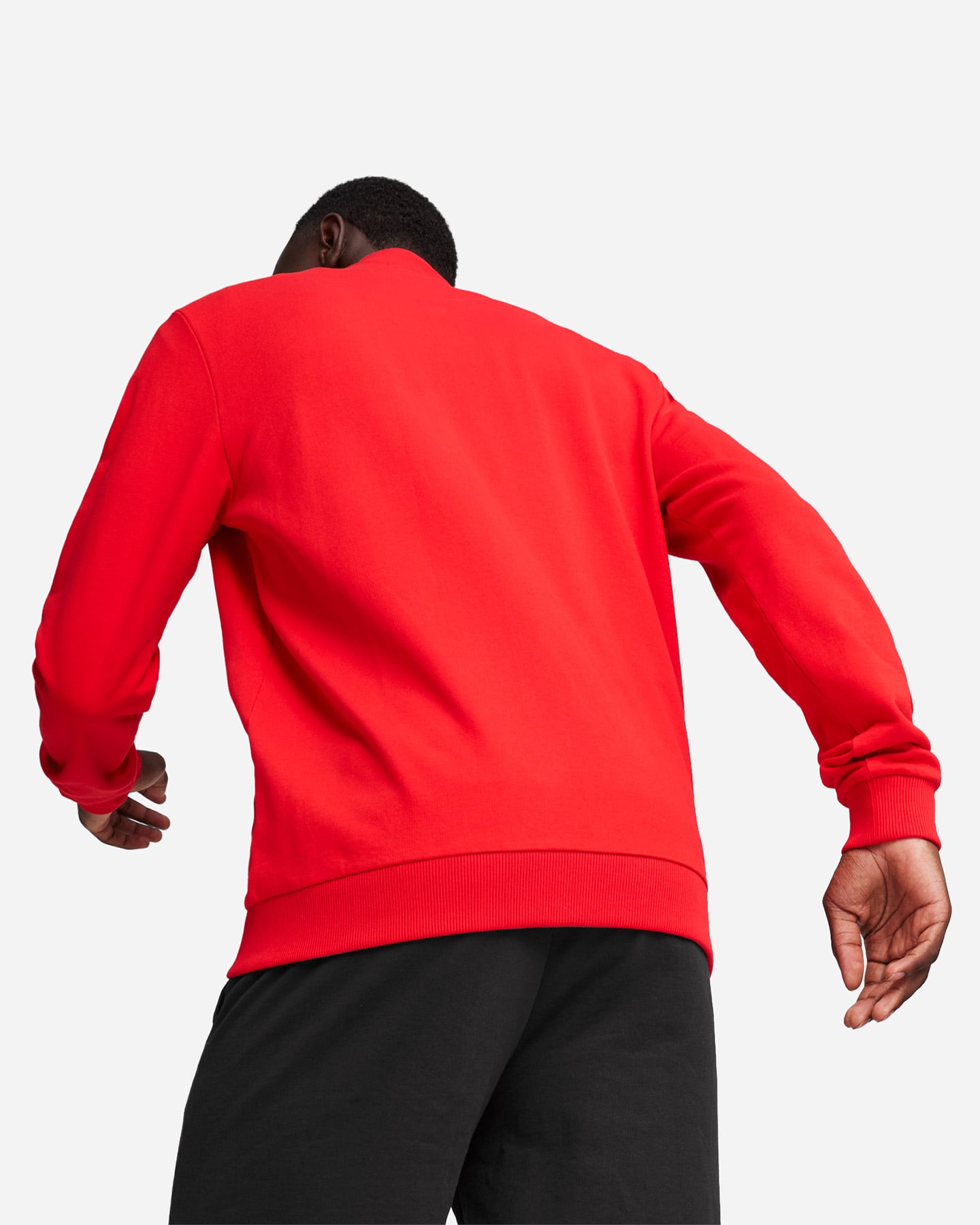 Maglia calcio PUMA TEAMGOAL M - Rosso - 3 | Cisalfa Sport