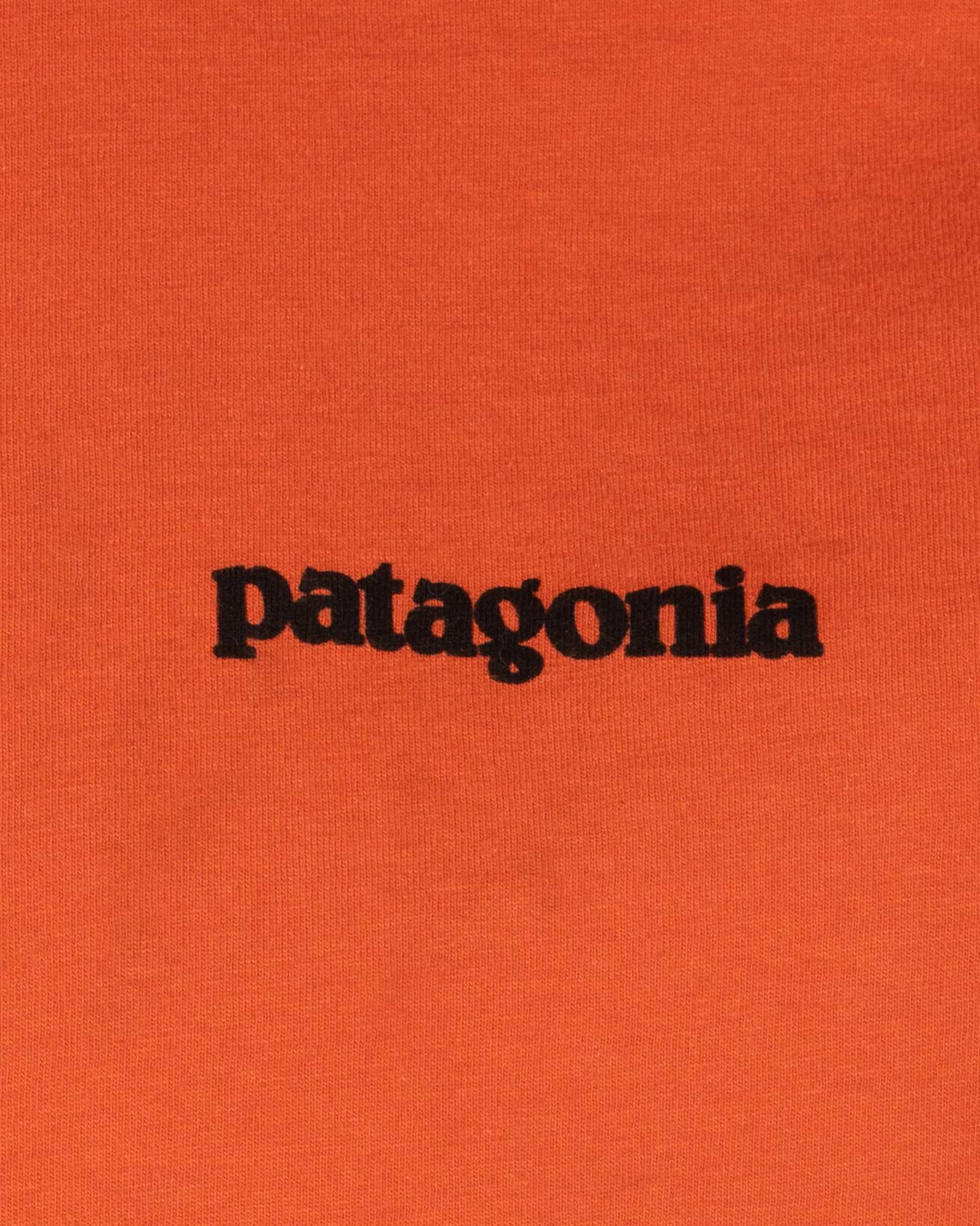 T-shirt PATAGONIA P-6 LOGO M - Arancione - 2 | Cisalfa Sport