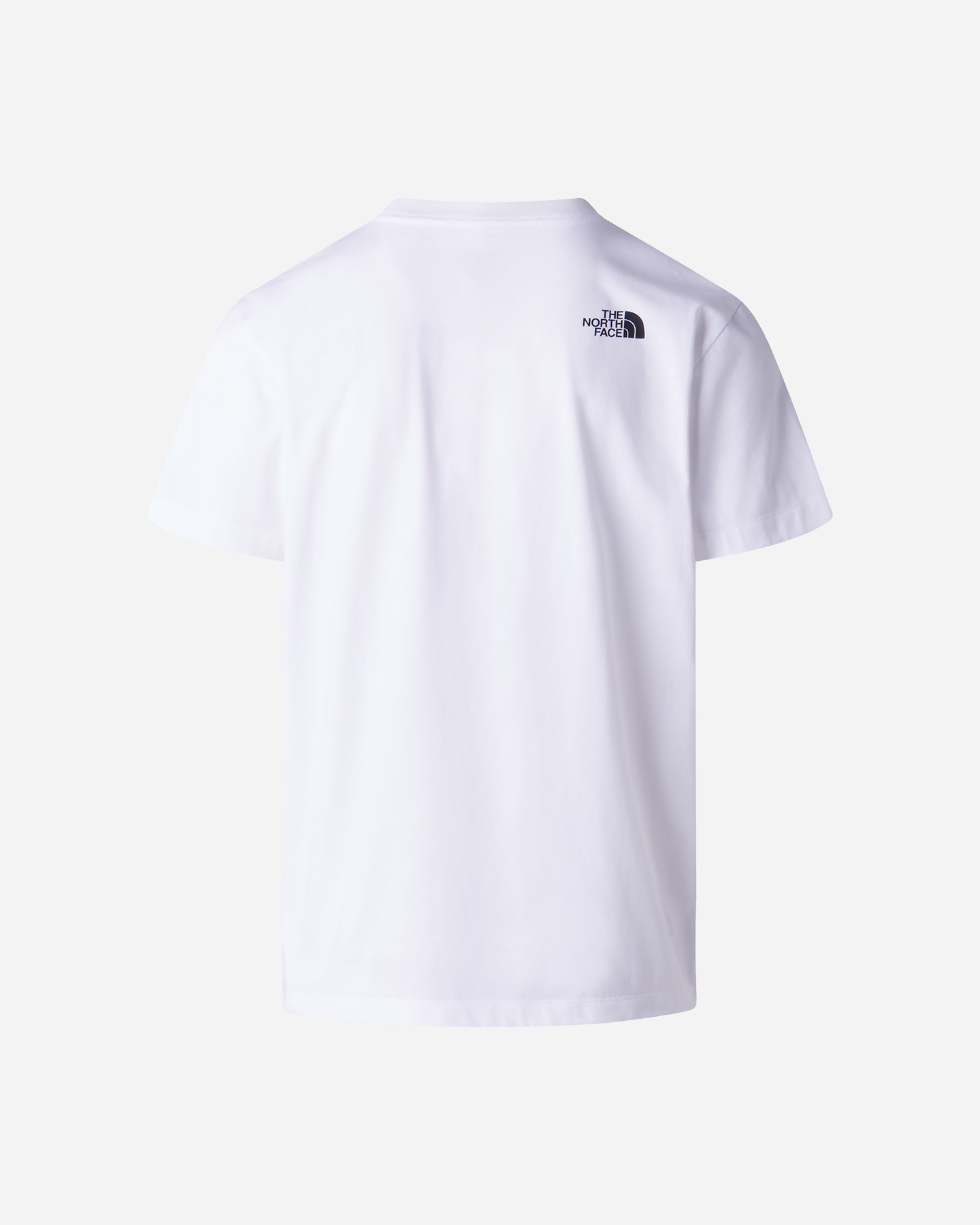 T-shirt THE NORTH FACE EVOLUTION BOX HALF DOME M - Bianco - 1 | Cisalfa Sport