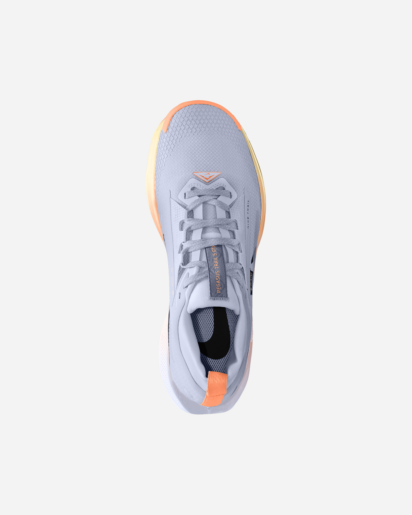 Scarpe trail NIKE PEGASUS TRAIL 5 GORE-TEX W - Azzurro - 2 | Cisalfa Sport
